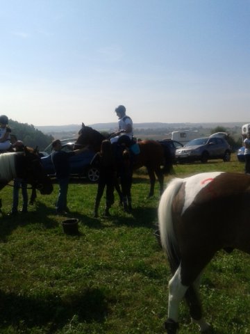Rajd Minoga 2015